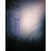 Adorama Belle Drape Scenic Series, 10' x 12' Painted Muslin Background, Style #905. Color: Roman Pillars on Left.