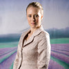 Adorama Belle Drape Scenic Series, 10' x 12' Painted Muslin Background, Style #911. Color: Purple Rows.