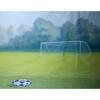 Adorama Belle Drape Scenic Series, 10' x 12' Painted Muslin Background, Style #951. Color: Soccer