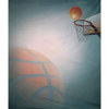 Adorama Belle Drape Scenic Series, 10' x 12' Painted Muslin Background, Style #956. Color: Basketball 1