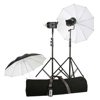 Bowens Esprit Gemini 200 Studio In A Box Kit