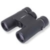 Carson 10 x 28 YK Series, Compact Water Proof Roof Prism Binocular with 5.2 Degree Angle of View, Black, USA