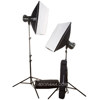 Elinchrom Style EL20752 BX Ri To Go Kit, with One 250 Ri & One 500 RI Multivoltage Monolights and EL-Skyport Transmitter