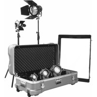 Interfit Photographic Stellar Halogen 1300 Watt, One Head Pro Softbox Kit with Stand, 1,300 Watt Total Output