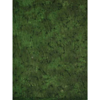 Adorama Belle Drape 3-D Series, 10' x 12' Painted Muslin Background, Style #315. Color: Dark Brown, Light Brown, Red, Tan, Black