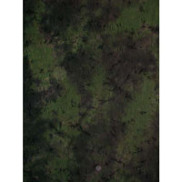 Adorama Belle Drape 3-D Series, 10' x 12' Painted Muslin Background, Style #316. Color: Dark Green, Light Green, White