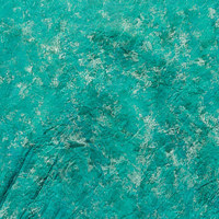 Studio Dynamics Europa Series 16 x 20 Muslin Background  San Marco