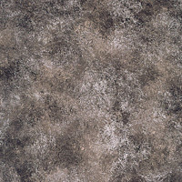 Studio Dynamics Europa Series 16 x 24 Muslin Background  Bellini