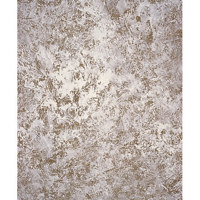 Studio Dynamics Impressions Series 16 x 24 Muslin Background  Koala Gray