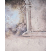 Studio Dynamics General Scenic Series 10 x 20 Muslin Background  Tapestry  1