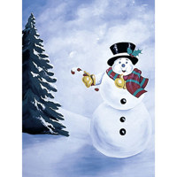 Studio Dynamics Holiday Scenic Series 12 x 12 Muslin Background  Snowflakes