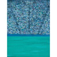 Studio Dynamics Sports Scenic Series 12 x 24 Muslin Background  Locker