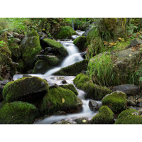 B + W 25mm Digital Pro Skylight 1A Coated Glass Filter (KR1.5)