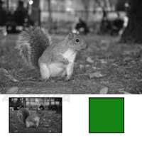 B + W 49mm #60 Multi Coated Glass Filter - Yellow / Green #11