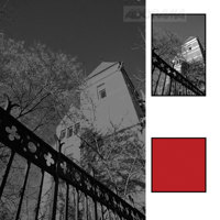Westcott Photo Basics 20" DigiTent for Still Life Photography