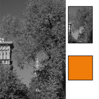 B + W 55mm Skylight 1A Coated Glass Filter (KR1.5)