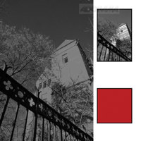 B + W 58mm Top Linear Polarizer Multi Coated Glass Filter