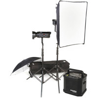 Bowens Gemini 250R250R Umbrella Travelpak Kit with Two 250 watt Second Monolights Umbrellas Stands Carry Bag