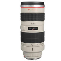Canon EF 35mm f/1.4L USM AutoFocus Wide Angle Lens - Gray Market