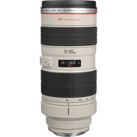 Canon EF 70-300mm f/4.5-5.6 DO IS USM Autofocus Telephoto Zoom Lens - USA