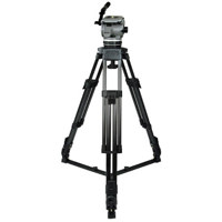 Canon EF 600mm f4L IS II USM Image Stabilizer AutoFocus Telephoto Lens with Case Hood USA Warranty