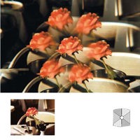 Cokin Multi-Image Filter 5 Series A