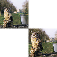 Cokin Series P Split Field Filter +1