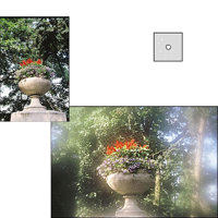 Cokin Series P Clear Diffuser Filter with Oval Center Spot