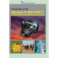 Blue Crane Digital DVD: Understanding the Canon Speedlite 580EX / 430EX