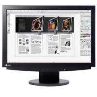 Eizo S2100 FlexScan 213 Color TFT LCD Monitor 1600 t 1200 Native Resolution  Color Gray  with Height Adjustable Stand