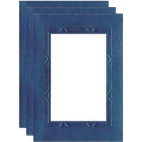 Collector's Gallery Tinted Embossed Graduation Photo Greeting Cards for Your 3.5" x 5" or 4" x 6" Picture, Pack of Three Cards.