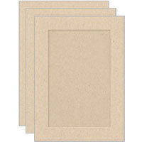 Collector's Gallery Tinted Embossed Natural Flax Photo Greeting Cards for Your 3.5" x 5" or 4" x 6" Picture, Pack of Three Cards.