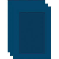Collector's Gallery Tinted Embossed Red Photo Greeting Cards for Your 3.5" x 5" or 4" x 6" Picture, Pack of Three Cards.
