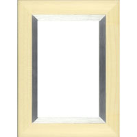 Dennis Daniels Aluminum Inlay Gallery Wood Molding Frame for a 4" x 6" Photograph, Color: Verdant Green.