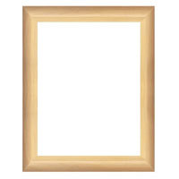 Dennis Daniels Contour Gallery Wood Molding Frame for an 11" x 14" Photograph, Color: Green.