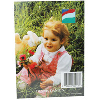 Dennis Daniels Clear Acrylic Bent-Back Vertical Frame for a 4" x 6" Photograph.