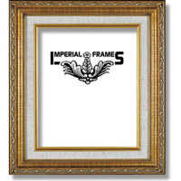 Imperial Frames Aristocrat, Wood Picture Frame for a 8" x 10" Photograph, Color: Gold