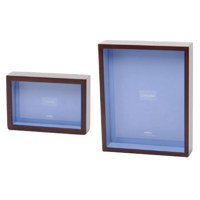 Swing 4" x 6" Walnut Shadow Box Picture Frame with Chroma Rose Interior.