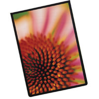 Itoya 8.5" x 11" Art Profolio ImagEnvelope Presentation Poly Glass Envelope.