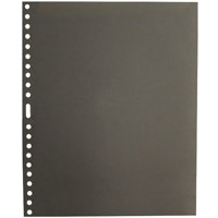 Fujifilm Fujichrome Provia RDP III 100F Color Slide Film ISO 100, 4 x 5", 10 Sheets, Transparency