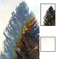 Hoya 49mm Rainbow Spot Filter