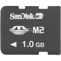 Dane-Elec 4 GB Secure Digital (SDHC) Memory Card