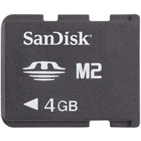 SanDisk Cruzer Professional 2 GB Secure Flash Drive with USB 2.0 Interface