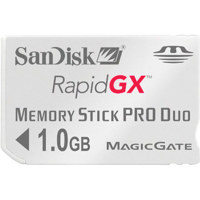 Dane-Elec 4 GB Compact Flash Memory Card