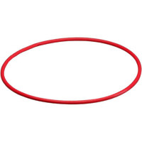 Olympus Silicon O-Ring for the PFL-01 Underwater Case (Front) for the FL-20 Flash