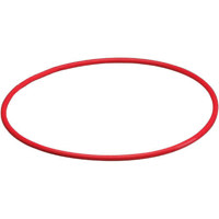 Olympus O-Ring for PT-021 Underwater Housing