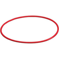 Olympus O-Ring for PT-021 Underwater Housing