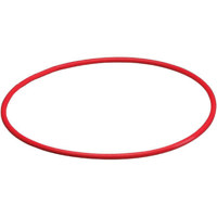 Olympus O-Ring for PT-022 Underwater Housing