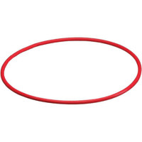 Olympus POL-029 Replacement O-Ring for the PT-029 Underwater Housing