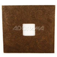 Paglight Diffuser Filter, Softens Light for Portrait and Interview Work, for the C 6 On-Camera Video Light.